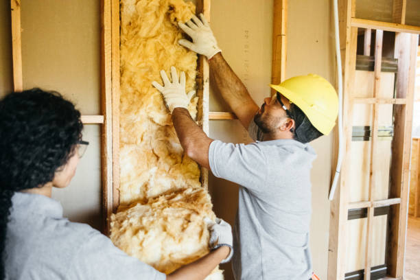 Types of Insulation We Offer in Hughes Springs, TX